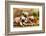 Pug Puppies And Flowers In Retro Backgraun-Lilun-Framed Photographic Print