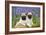 Pug Puppies Standing Together in Bluebells-null-Framed Photographic Print