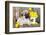 Pug Puppy And Spring Dandelions Flowers-Lilun-Framed Photographic Print