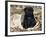 Pug Puppy in Sacking, USA-Lynn M. Stone-Framed Photographic Print