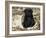 Pug Puppy in Sacking, USA-Lynn M. Stone-Framed Photographic Print