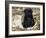 Pug Puppy in Sacking, USA-Lynn M. Stone-Framed Photographic Print