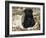 Pug Puppy in Sacking, USA-Lynn M. Stone-Framed Photographic Print