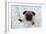 Pug Puppy on Spotted Blanket-null-Framed Photographic Print