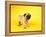 Pug Puppy-Peter M^ Fisher-Framed Premier Image Canvas