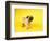 Pug Puppy-Peter M^ Fisher-Framed Photographic Print