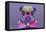 PUG Purple XXXIII-Fernando Palma-Framed Premier Image Canvas