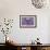 PUG Purple XXXIII-Fernando Palma-Framed Giclee Print displayed on a wall