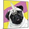 Pug Rotten-Malcolm Sanders-Mounted Giclee Print
