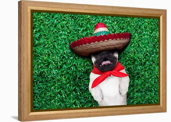 Pug Siesta-Javier Brosch-Framed Premier Image Canvas