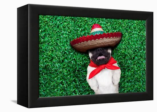 Pug Siesta-Javier Brosch-Framed Premier Image Canvas