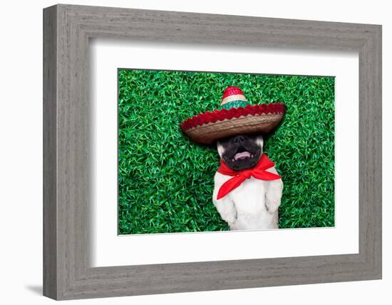 Pug Siesta-Javier Brosch-Framed Photographic Print