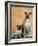 Pug Sitting Next to a Mixed Breed Dog on a Rug-Petra Wegner-Framed Photographic Print