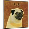 Pug (square)-John W^ Golden-Mounted Art Print