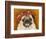 Pug Wearing Floral Hat-Leland Bobb?-Framed Premium Photographic Print