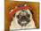 Pug Wearing Floral Hat-Leland Bobb?-Mounted Photographic Print