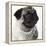 Pug Wearing Pearl Necklace-null-Framed Premier Image Canvas