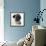 Pug Wearing Pearl Necklace-null-Framed Photographic Print displayed on a wall