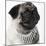 Pug Wearing Pearl Necklace-null-Mounted Photographic Print