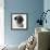 Pug Wearing Pearl Necklace-null-Framed Photographic Print displayed on a wall