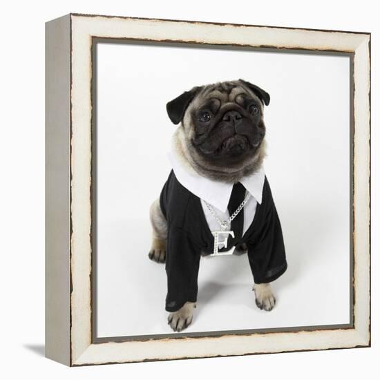 Pug Wearing Shirt, Tie and Necklace-null-Framed Premier Image Canvas