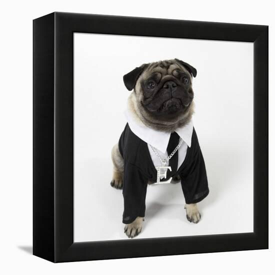 Pug Wearing Shirt, Tie and Necklace-null-Framed Premier Image Canvas