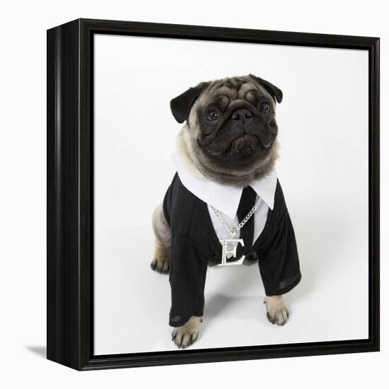 Pug Wearing Shirt, Tie and Necklace-null-Framed Premier Image Canvas