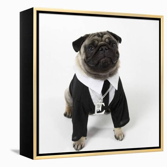 Pug Wearing Shirt, Tie and Necklace-null-Framed Premier Image Canvas