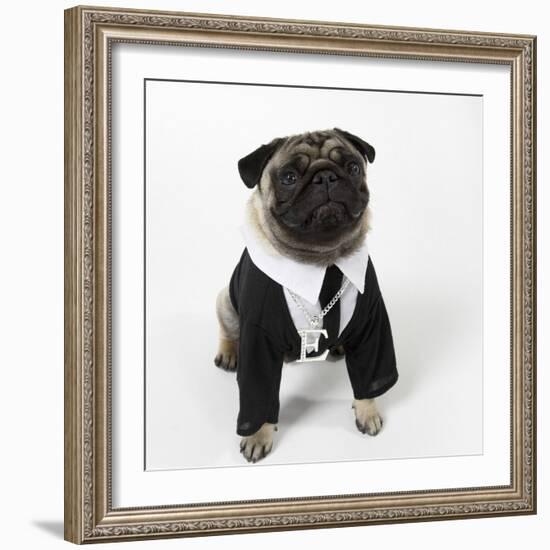Pug Wearing Shirt, Tie and Necklace-null-Framed Photographic Print