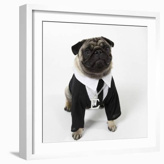 Pug Wearing Shirt, Tie and Necklace-null-Framed Photographic Print