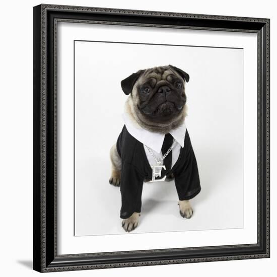 Pug Wearing Shirt, Tie and Necklace-null-Framed Photographic Print