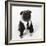 Pug Wearing Shirt, Tie and Necklace-null-Framed Photographic Print