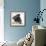 Pug Wearing Tiara-null-Framed Photographic Print displayed on a wall