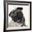 Pug Wearing Tiara-null-Framed Photographic Print