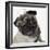 Pug Wearing Tiara-null-Framed Photographic Print