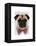 Pug with Red Spotted Bow Tie-Fab Funky-Framed Stretched Canvas