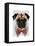 Pug with Red Spotted Bow Tie-Fab Funky-Framed Stretched Canvas