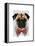 Pug with Red Spotted Bow Tie-Fab Funky-Framed Stretched Canvas