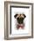 Pug with Red Spotted Bow Tie-Fab Funky-Framed Art Print