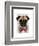 Pug with Red Spotted Bow Tie-Fab Funky-Framed Art Print