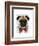 Pug with Red Spotted Bow Tie-Fab Funky-Framed Art Print