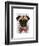 Pug with Red Spotted Bow Tie-Fab Funky-Framed Art Print