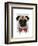 Pug with Red Spotted Bow Tie-Fab Funky-Framed Art Print