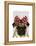 Pug with Red Spotty Bow on Head-Fab Funky-Framed Stretched Canvas