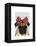 Pug with Red Spotty Bow on Head-Fab Funky-Framed Stretched Canvas