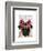 Pug with Red Spotty Bow on Head-Fab Funky-Framed Art Print