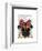 Pug with Red Spotty Bow on Head-Fab Funky-Framed Art Print