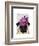 Pug with Vintage Purple Hat-Fab Funky-Framed Art Print