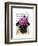 Pug with Vintage Purple Hat-Fab Funky-Framed Art Print