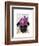 Pug with Vintage Purple Hat-Fab Funky-Framed Art Print